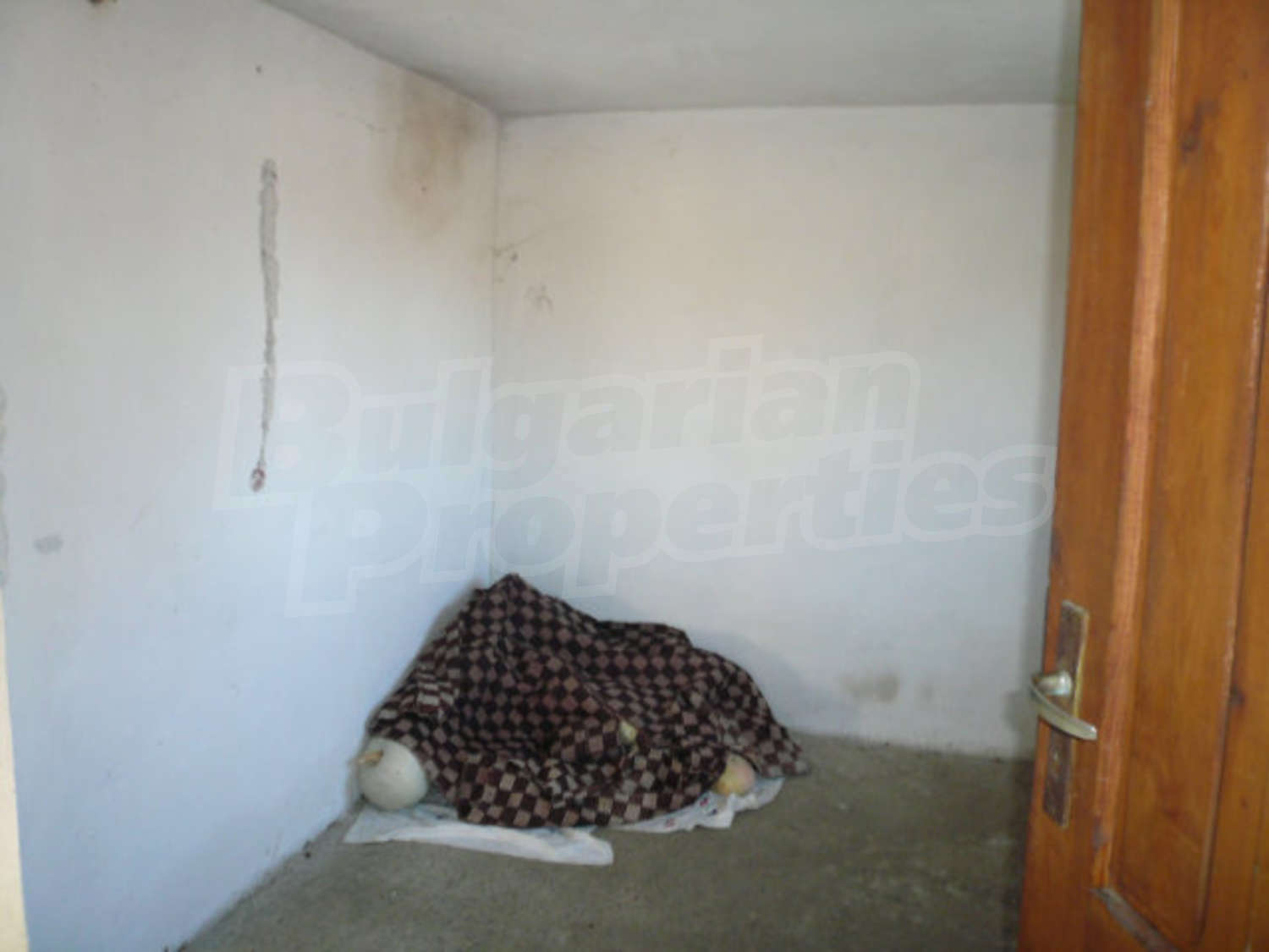 Gallery Picture 10