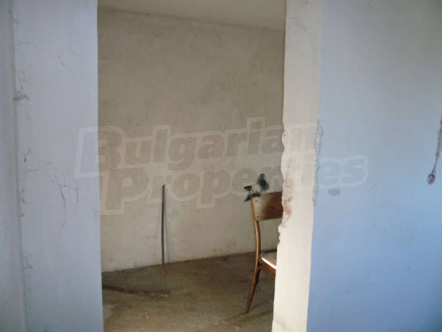 Gallery Picture 11