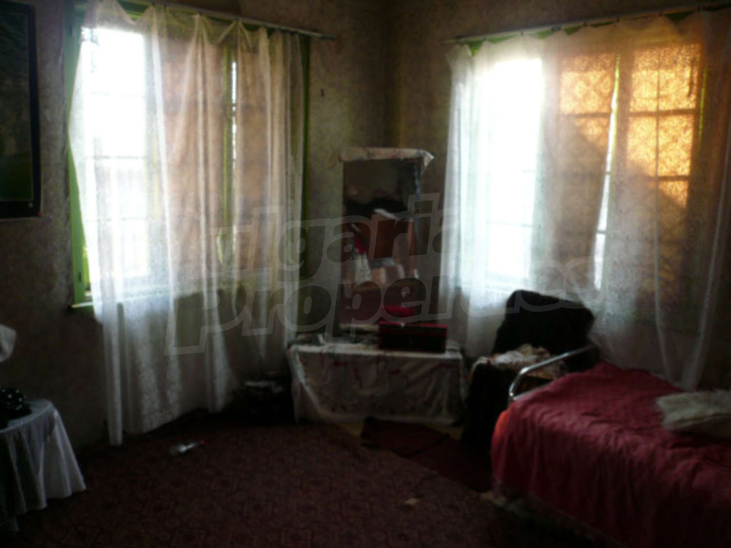 Gallery Picture 14