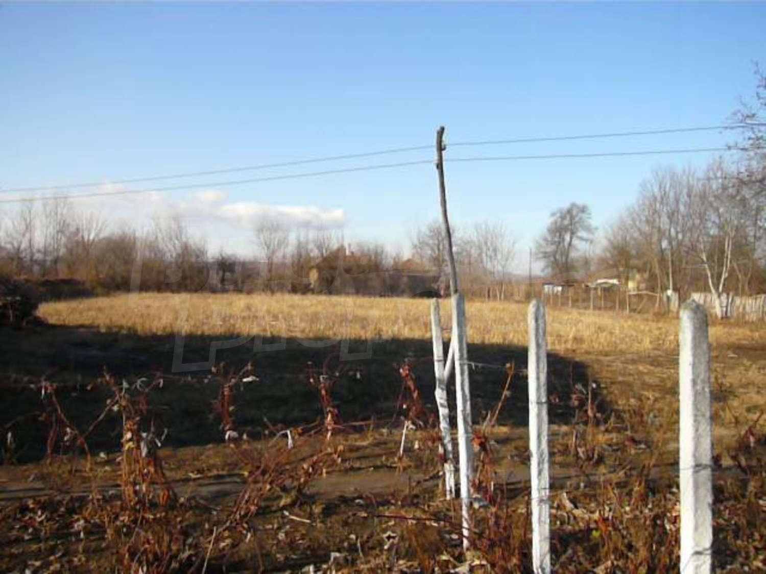 Gallery Picture 15