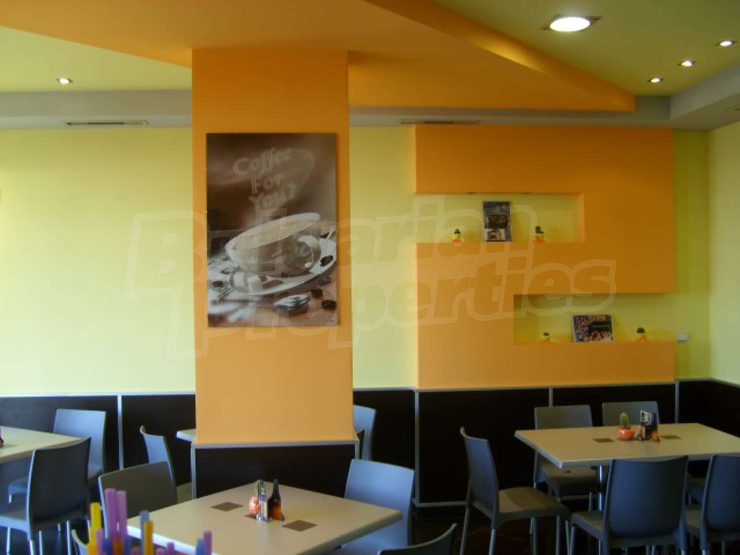 Gallery Picture 3