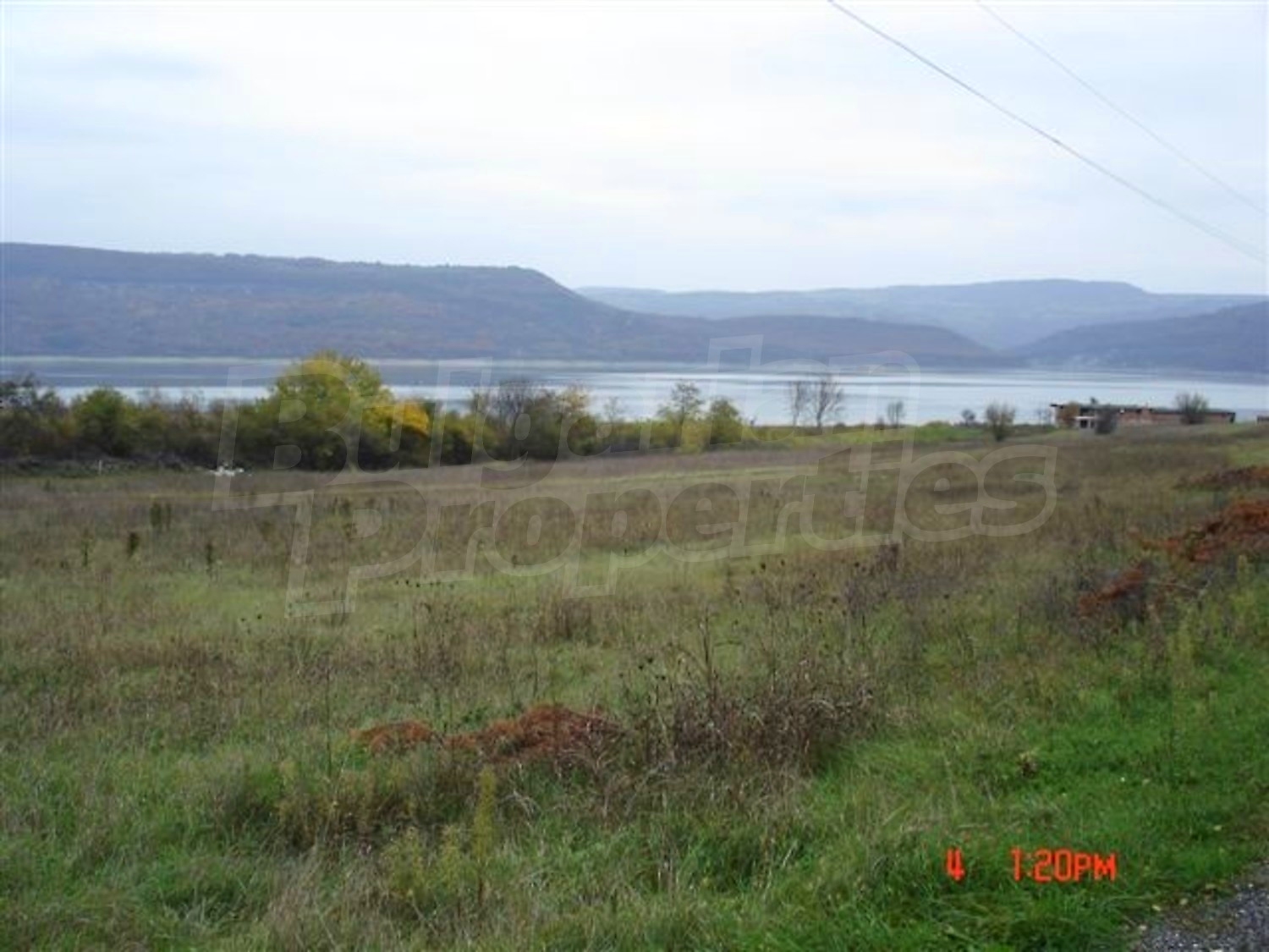 Gallery Picture 3