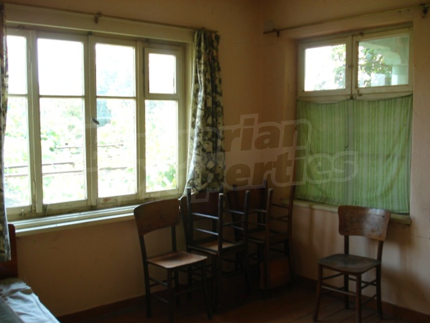 Gallery Picture 12