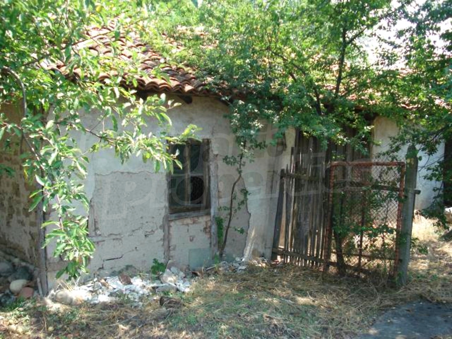 Gallery Picture 15