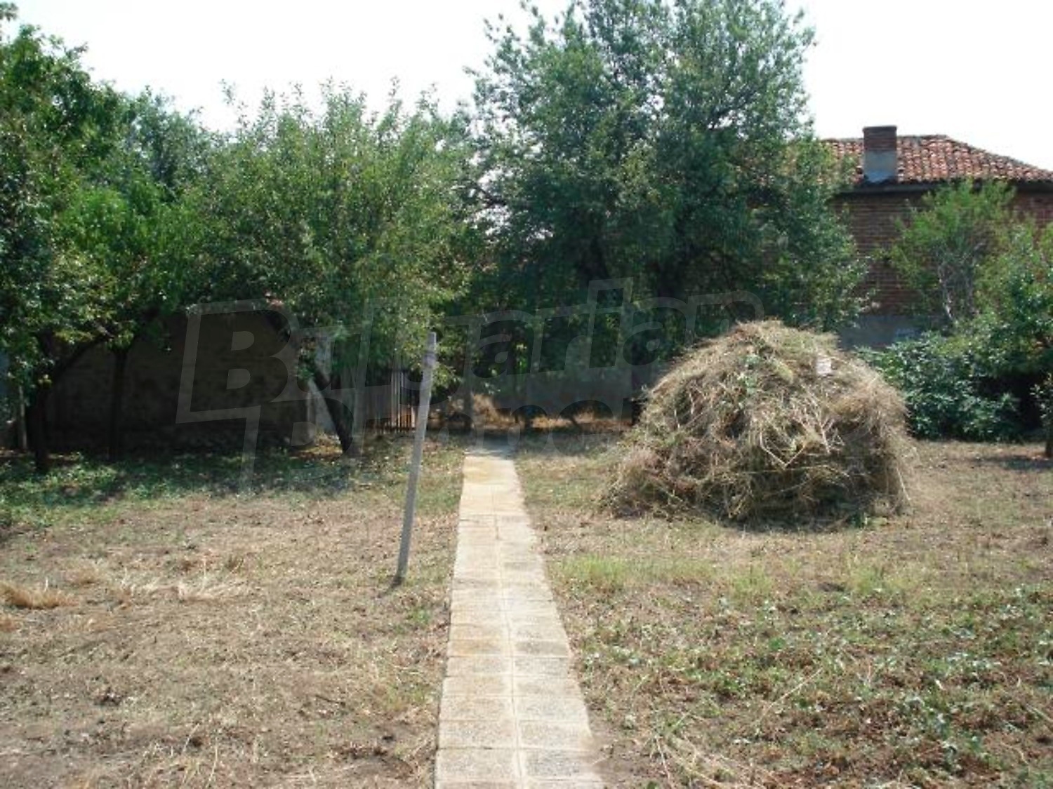 Gallery Picture 17