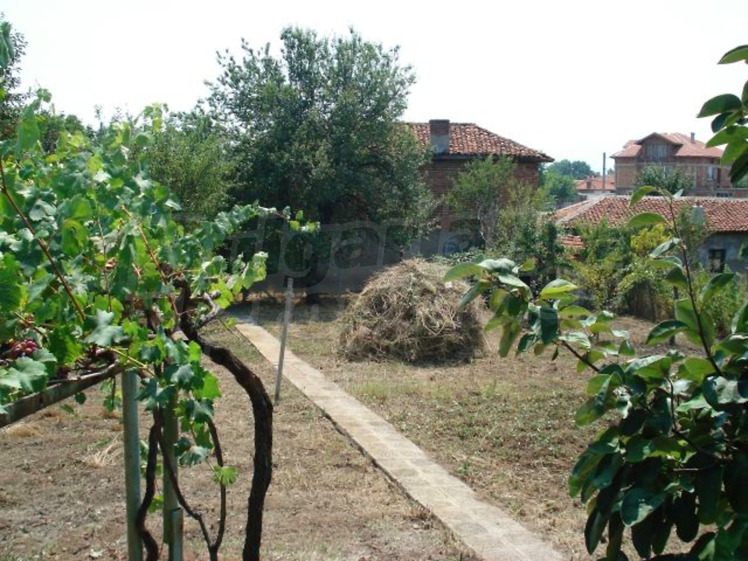 Gallery Picture 18