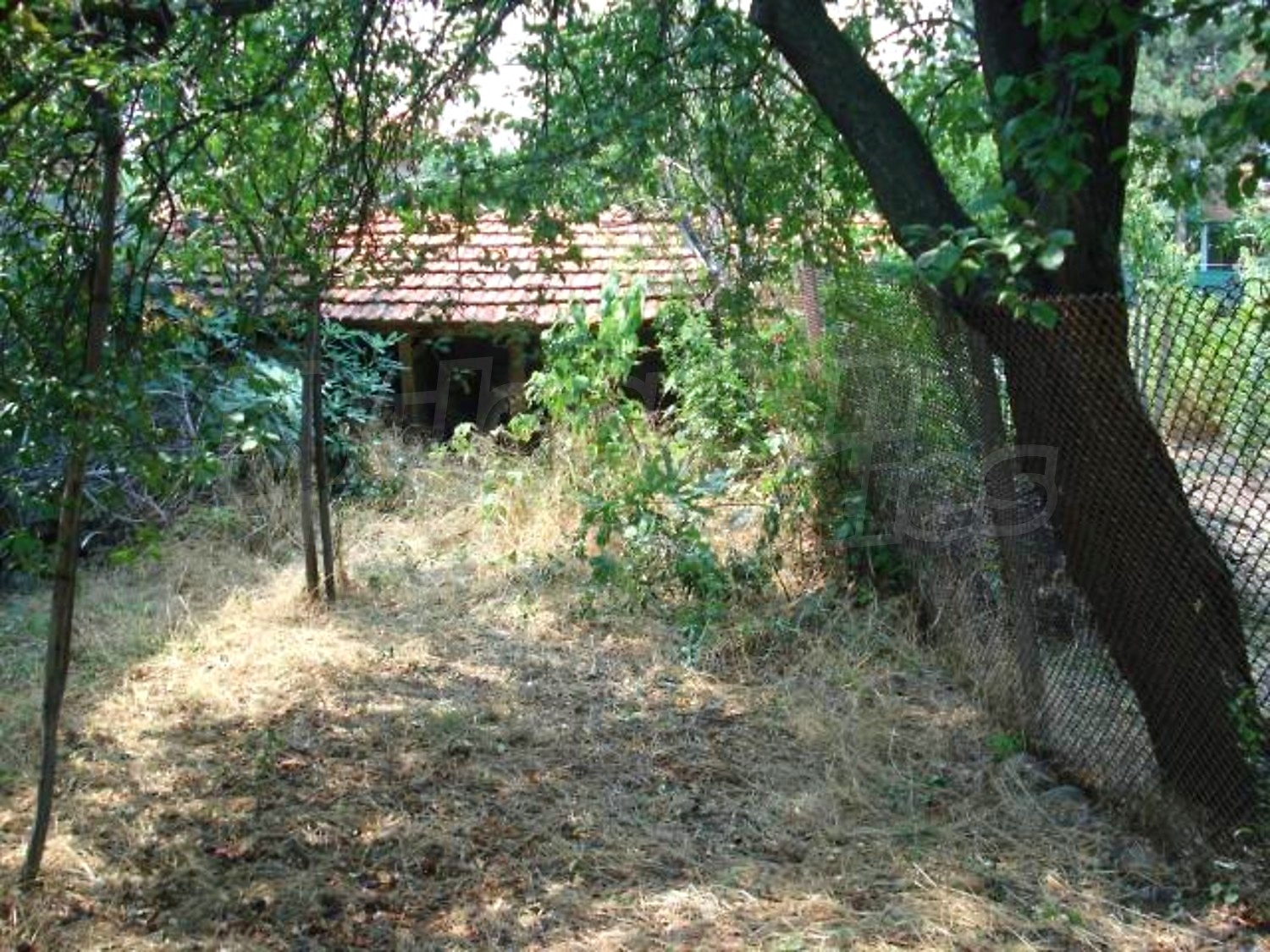 Gallery Picture 19