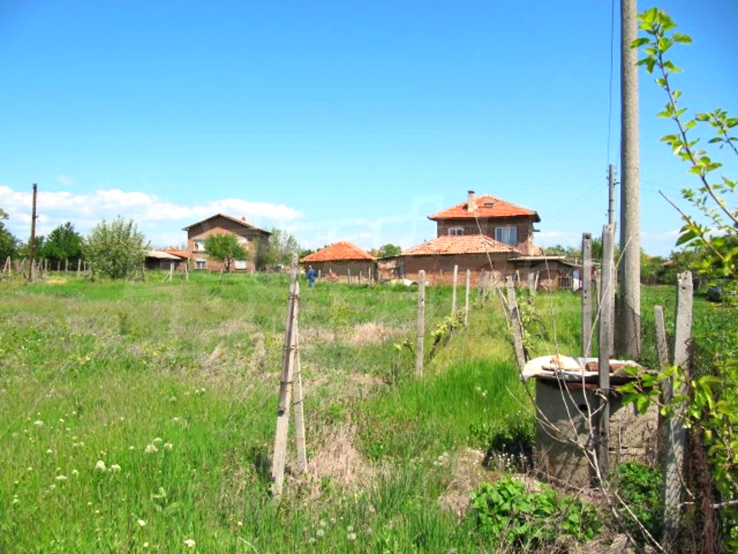 Gallery Picture 15