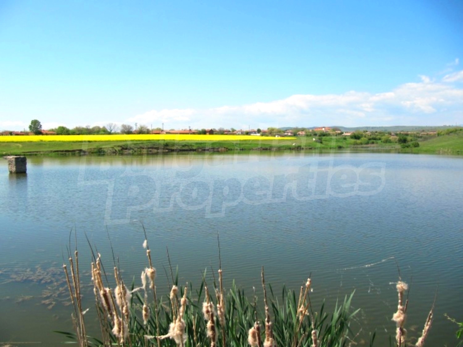 Gallery Picture 34