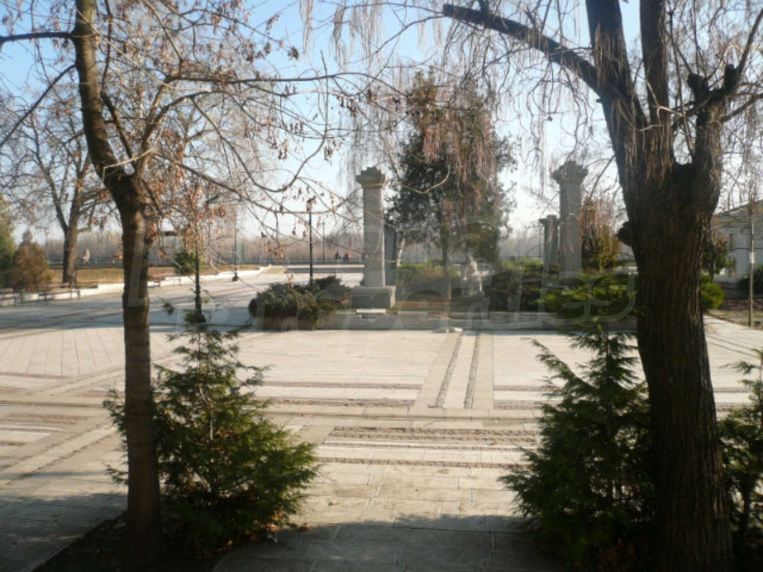 Gallery Picture 14