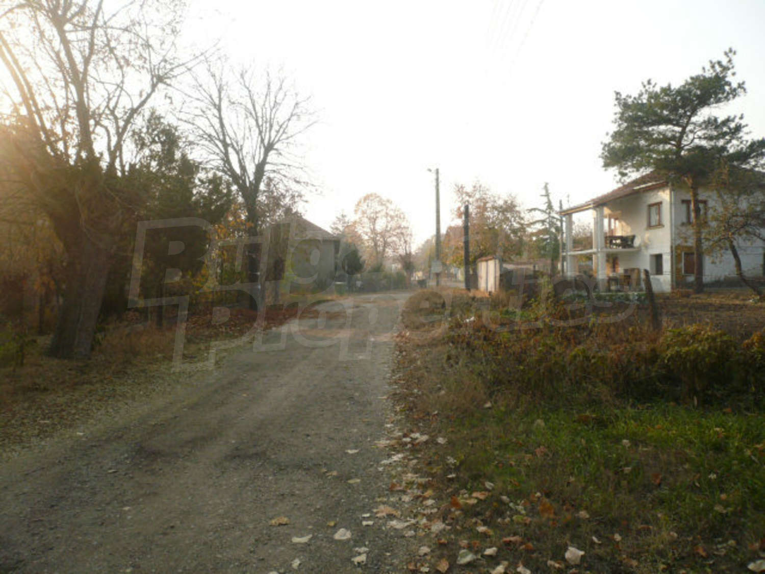 Gallery Picture 12