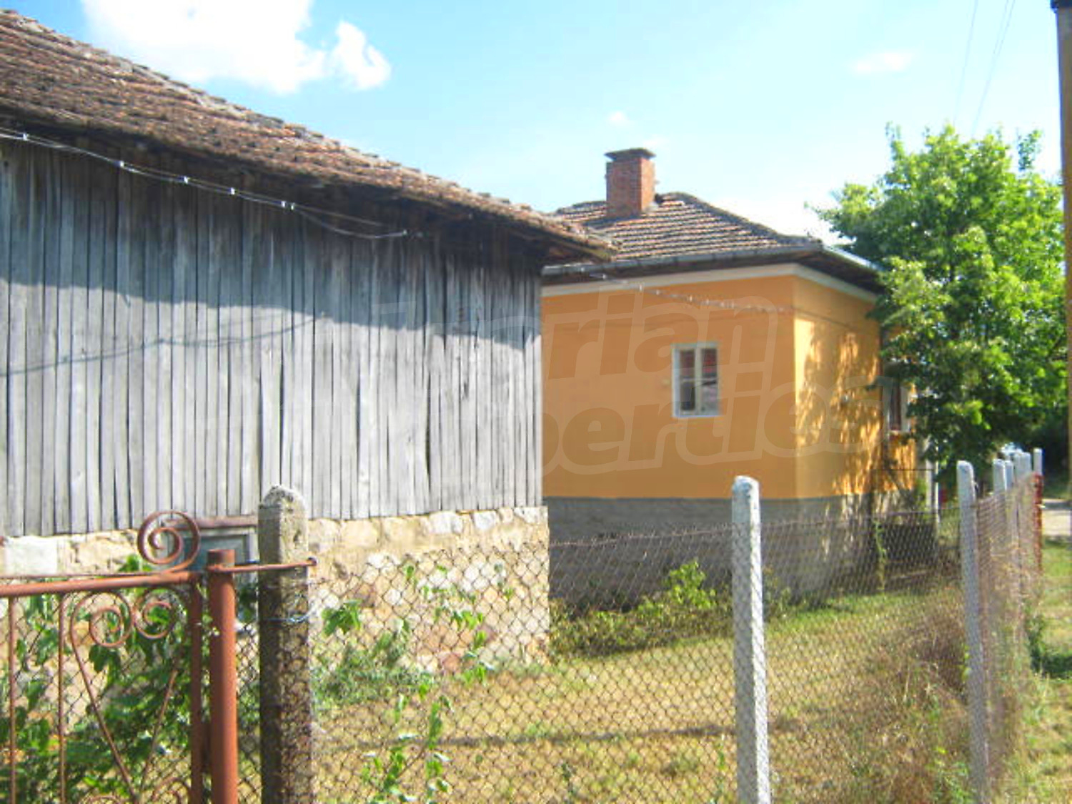 Gallery Picture 11