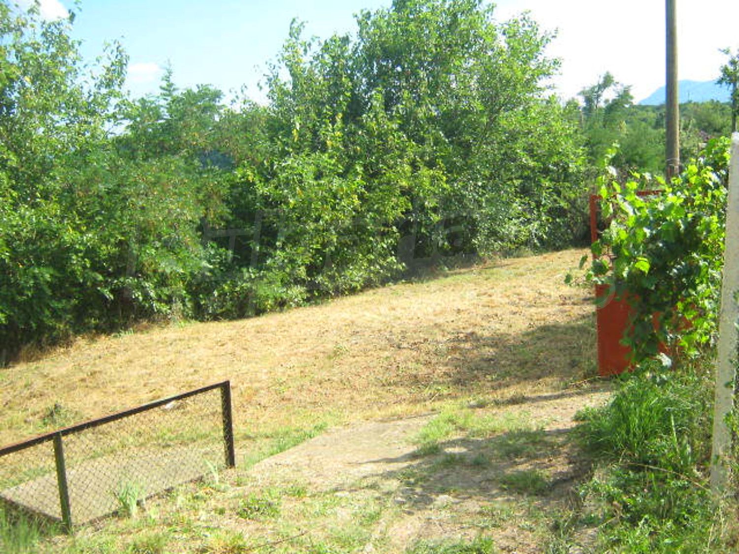 Gallery Picture 12