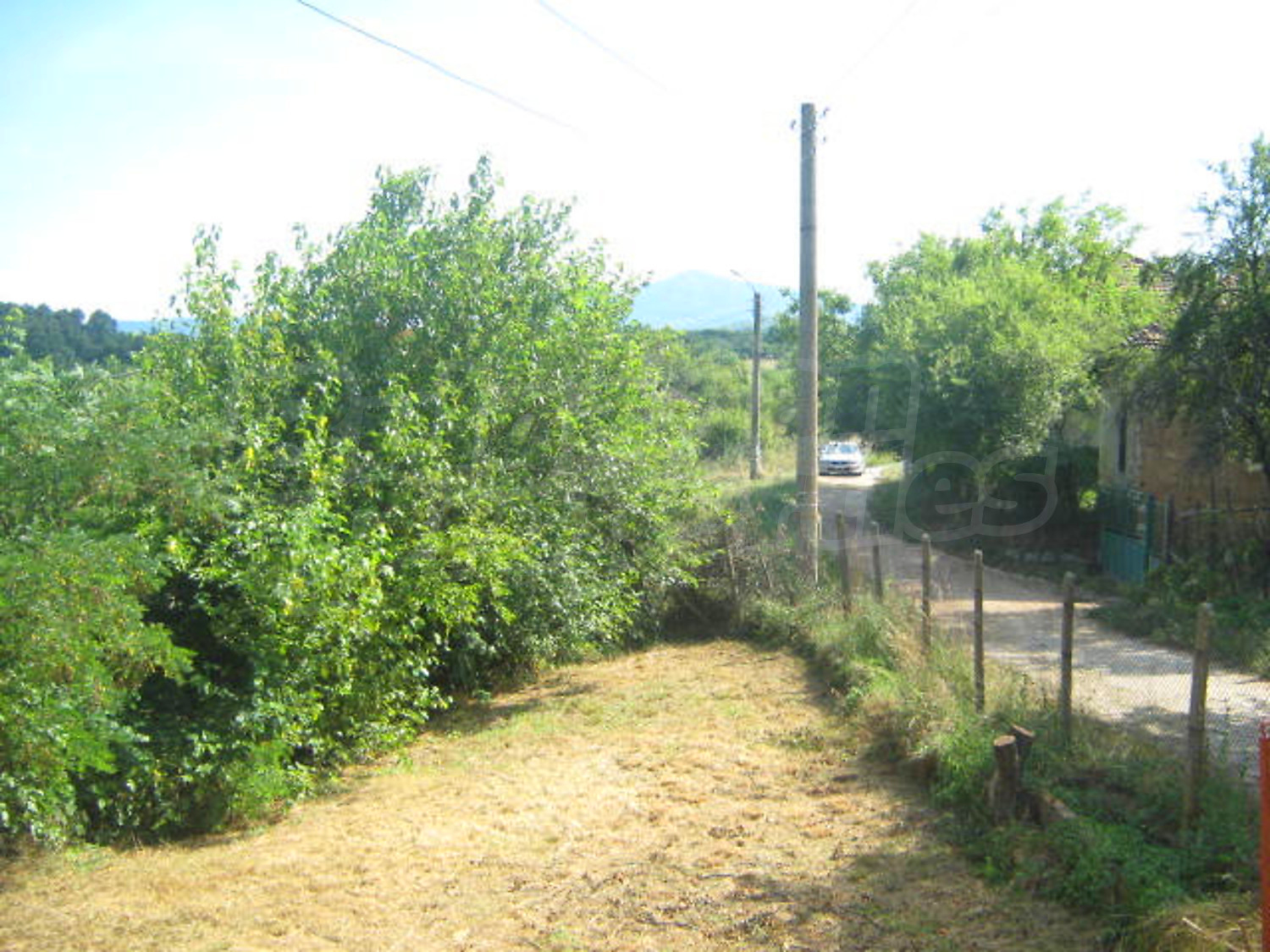 Gallery Picture 13