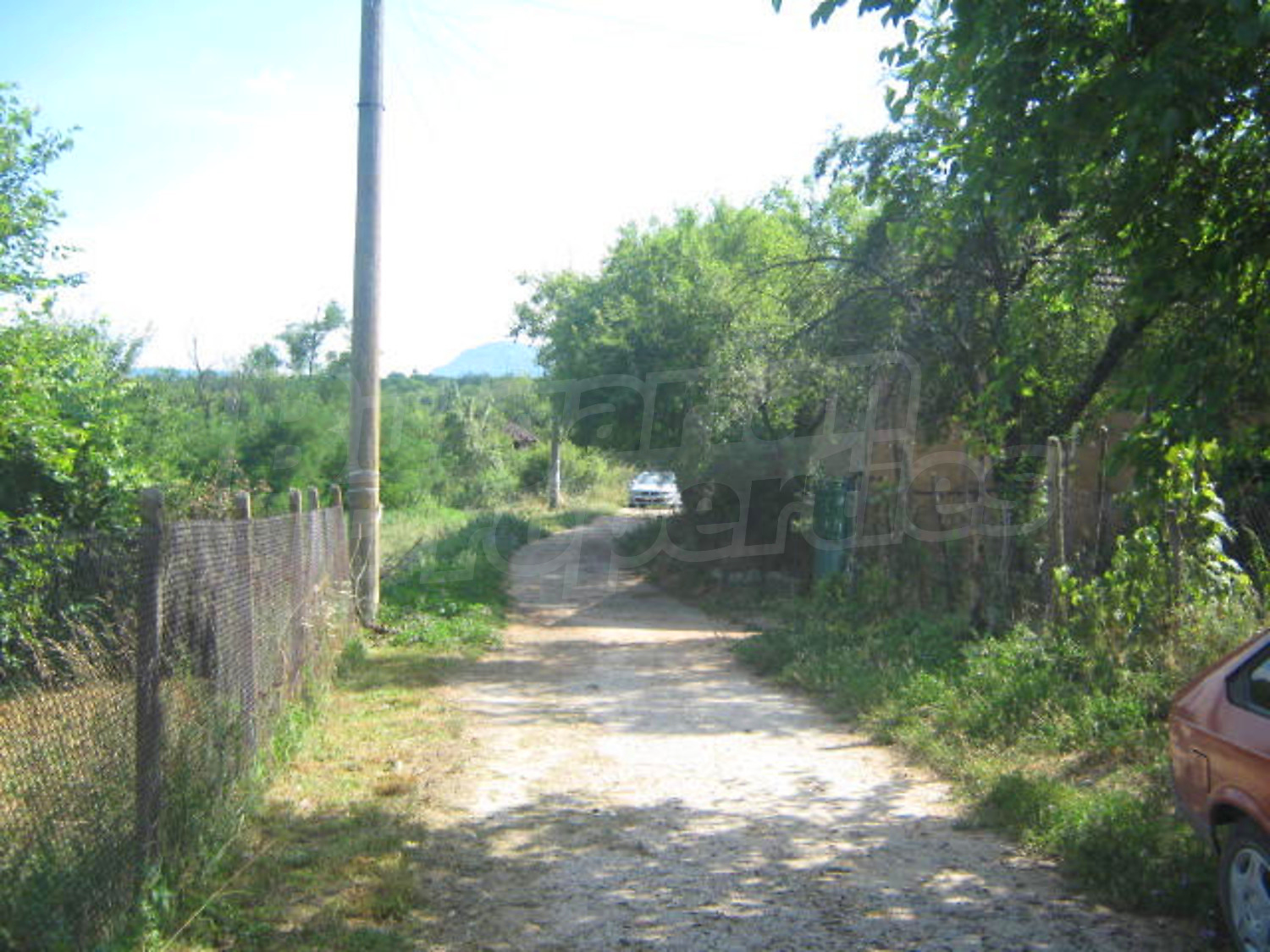 Gallery Picture 14
