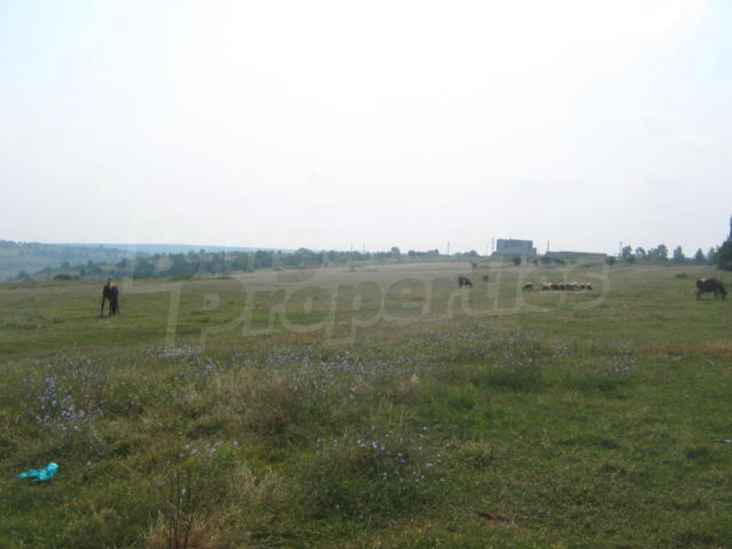 Gallery Picture 16