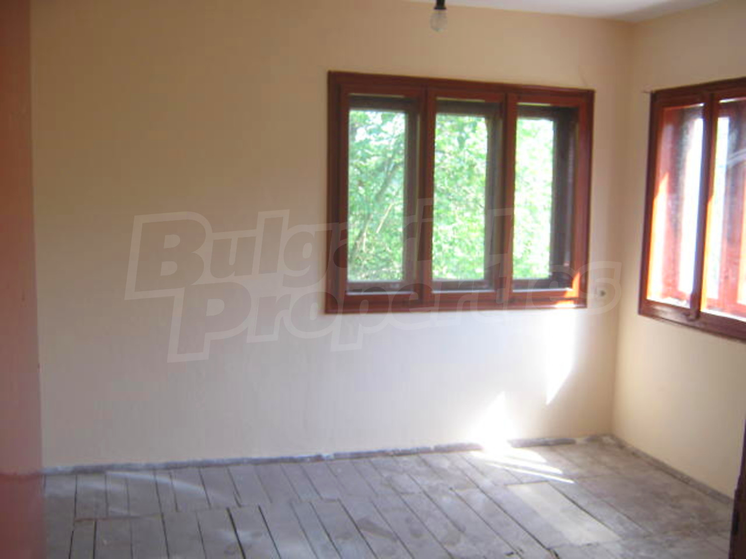 Gallery Picture 5