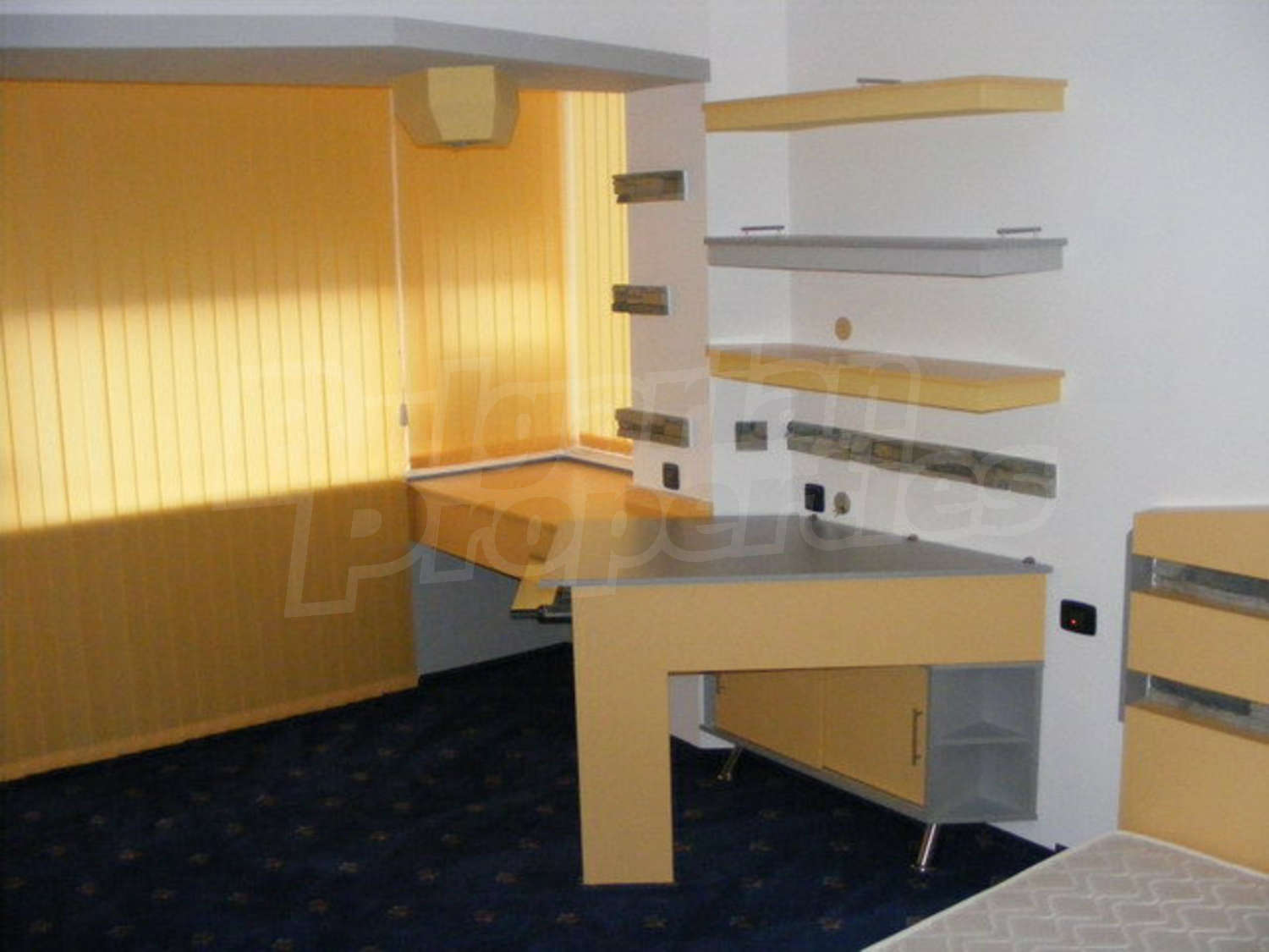 Gallery Picture 12