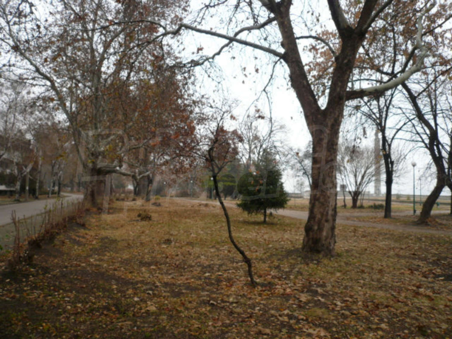Gallery Picture 10