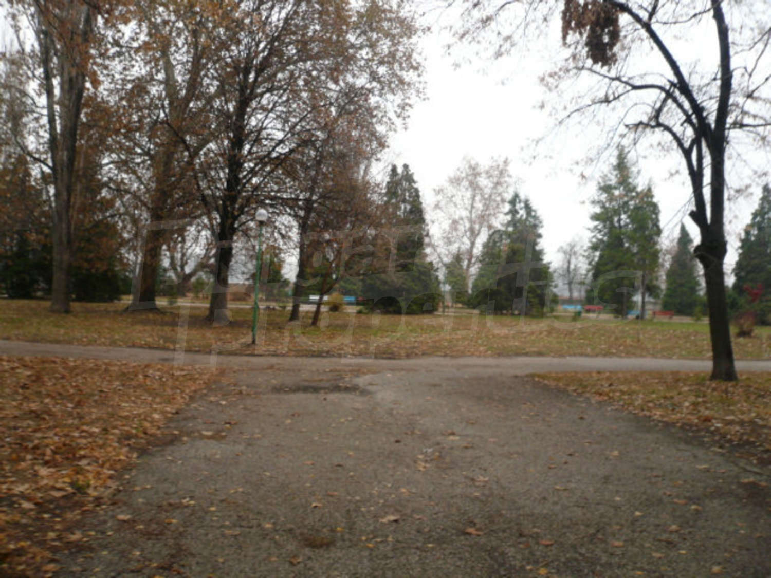 Gallery Picture 11