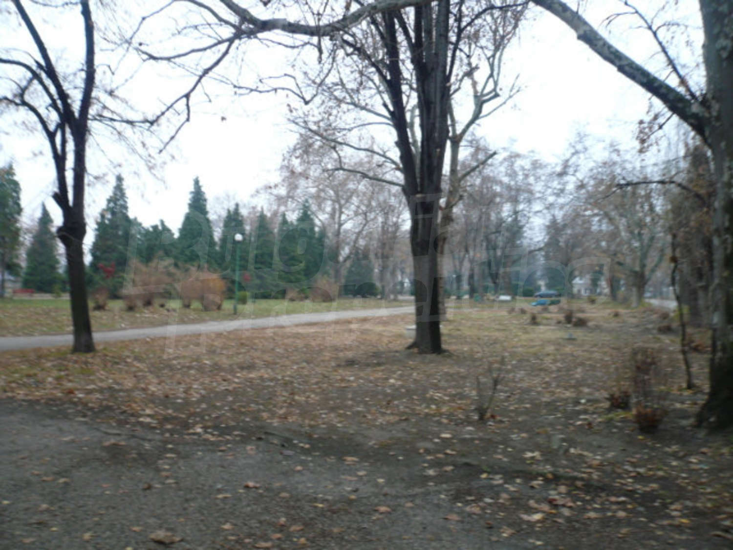 Gallery Picture 12