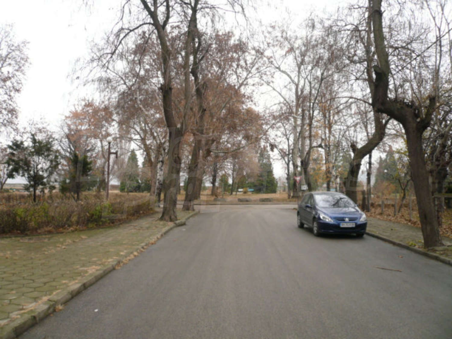 Gallery Picture 9
