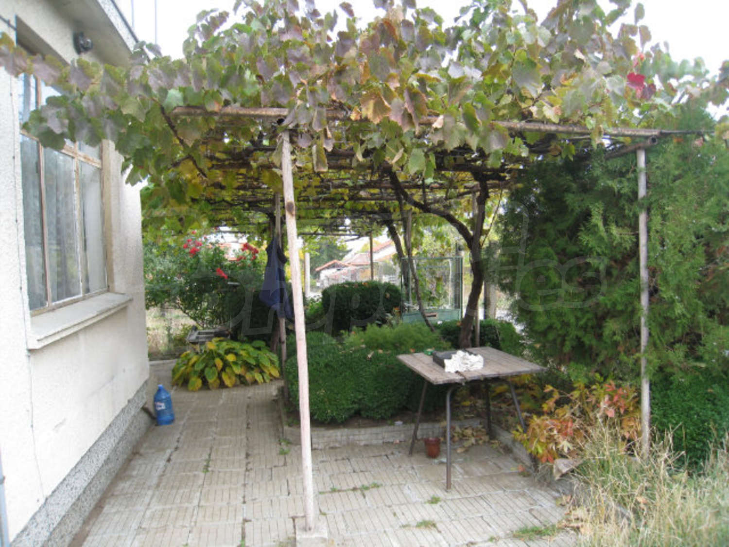 Gallery Picture 15