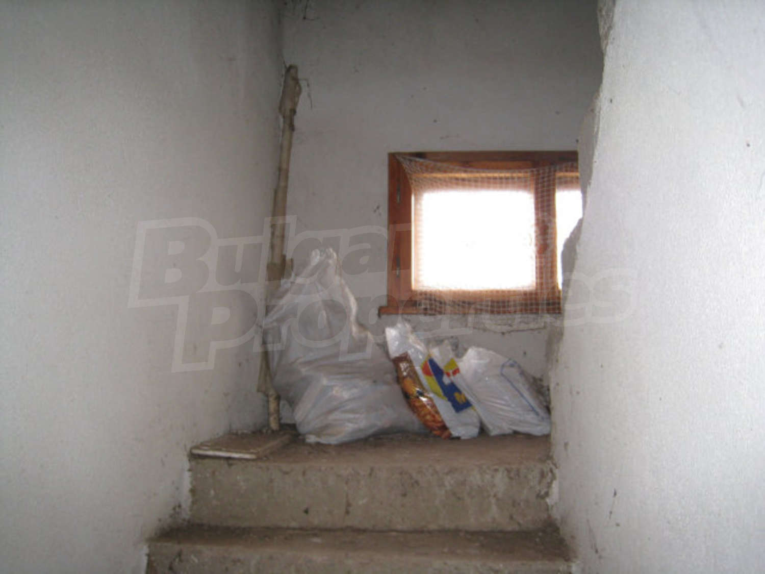 Gallery Picture 22