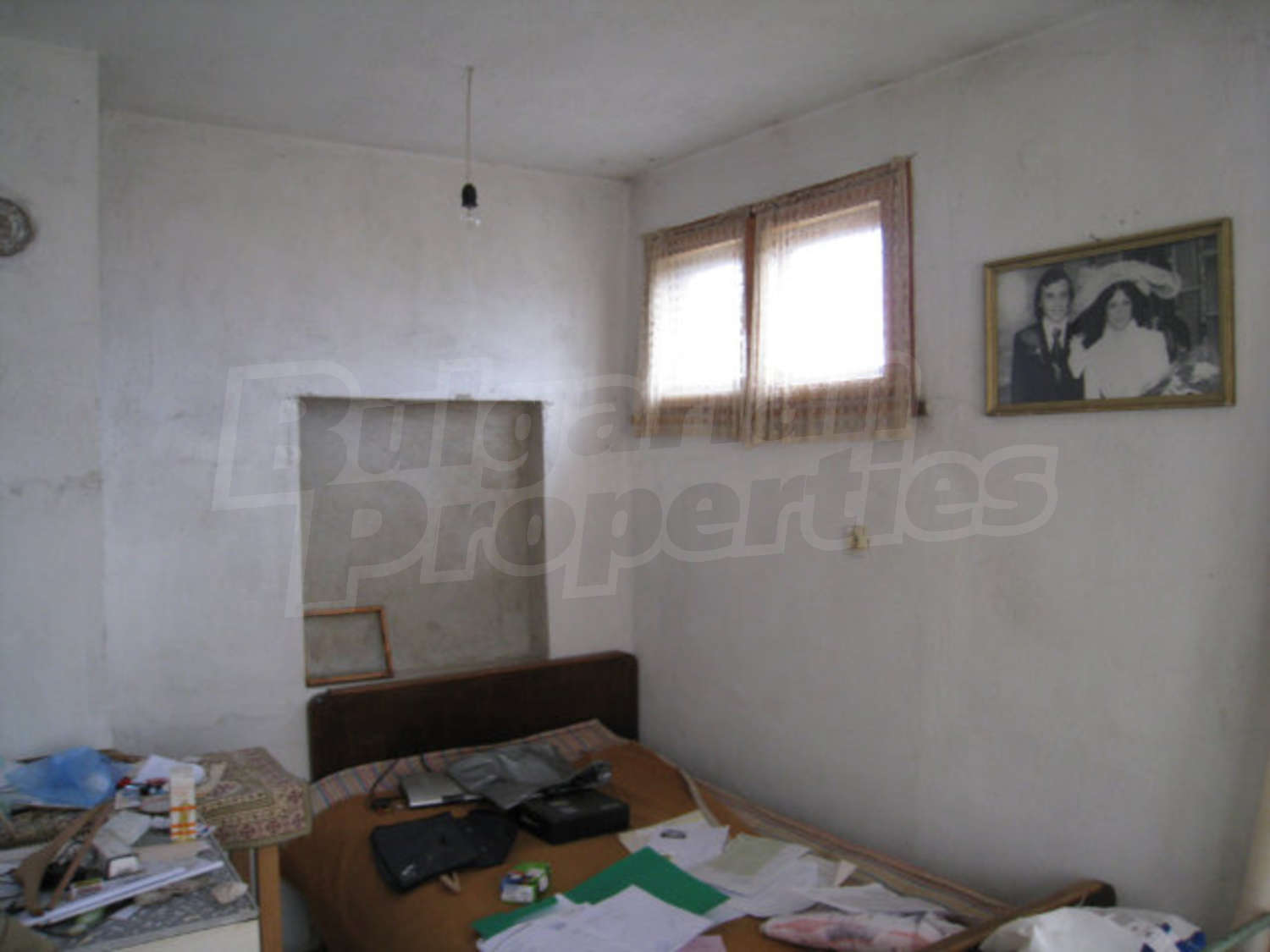 Gallery Picture 24