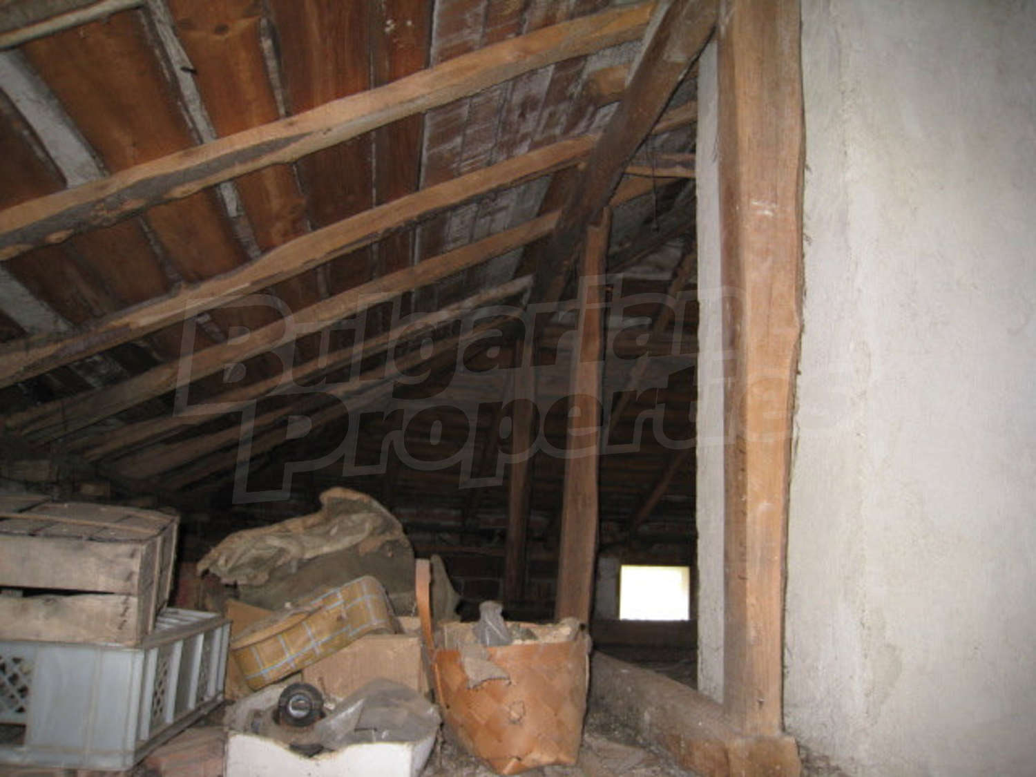 Gallery Picture 32