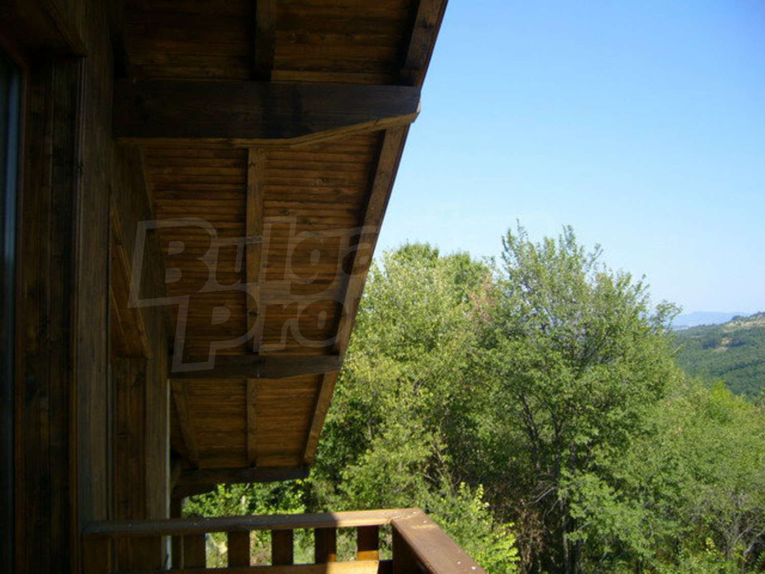 Gallery Picture 38