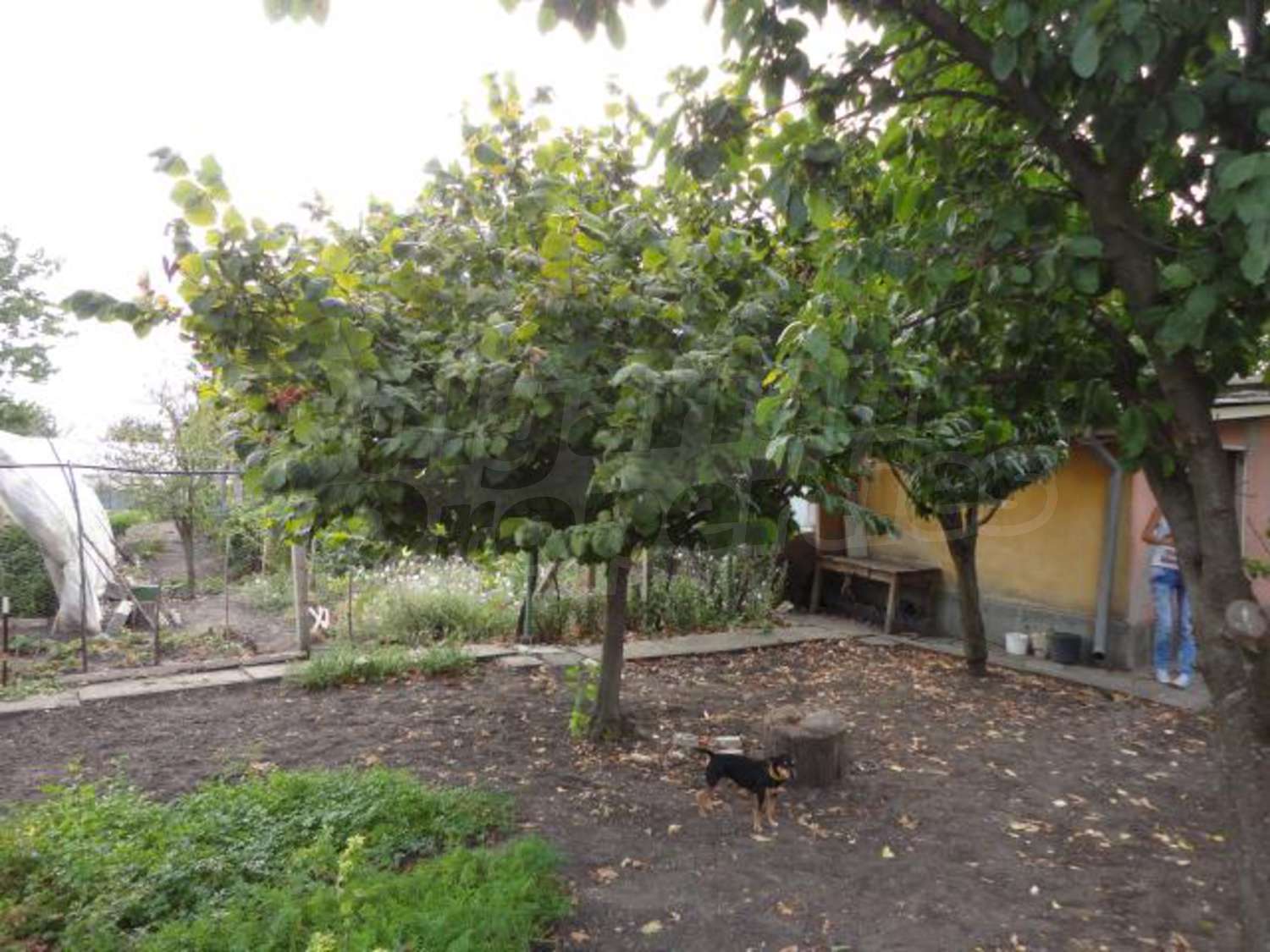 Gallery Picture 23
