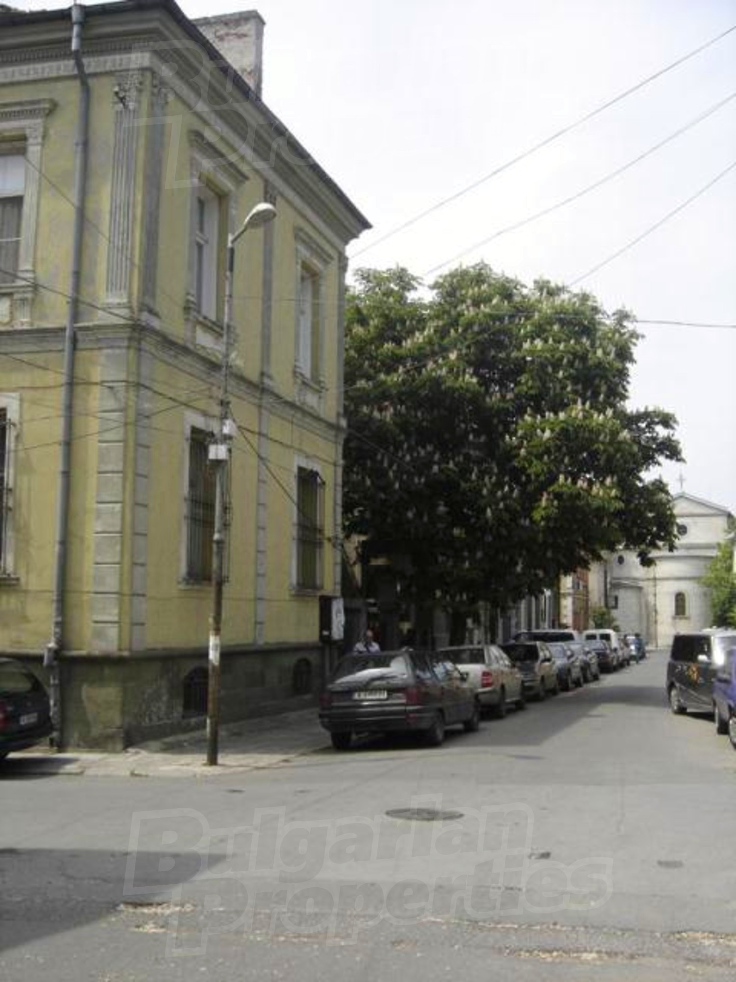 Gallery Picture 3