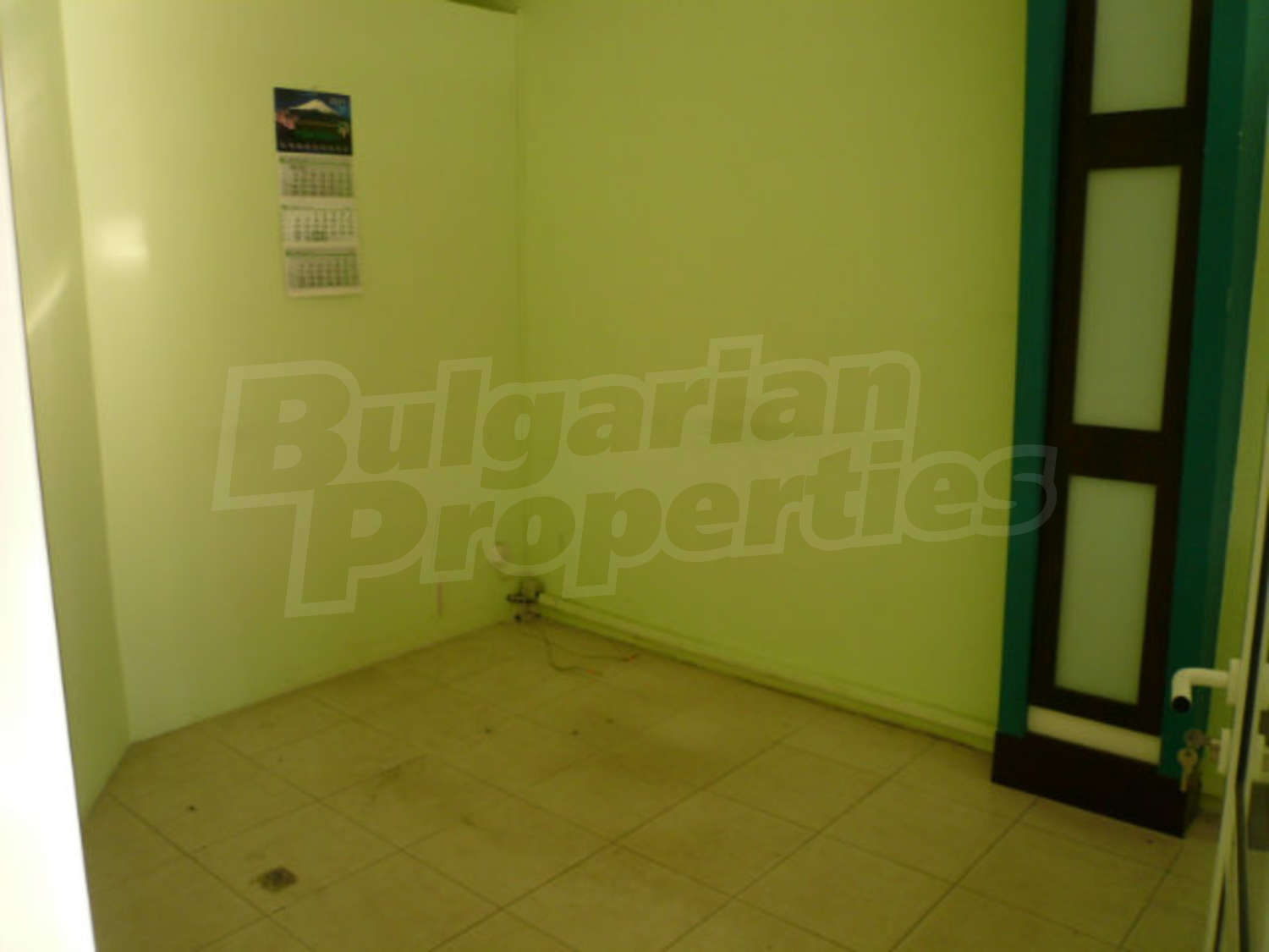 Gallery Picture 8