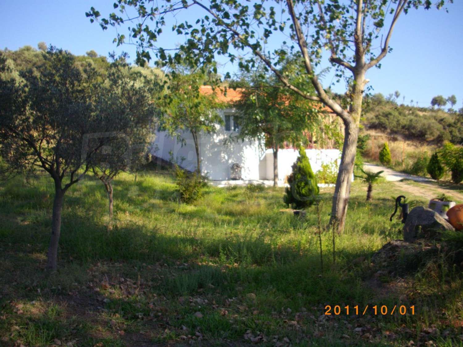 Gallery Picture 2