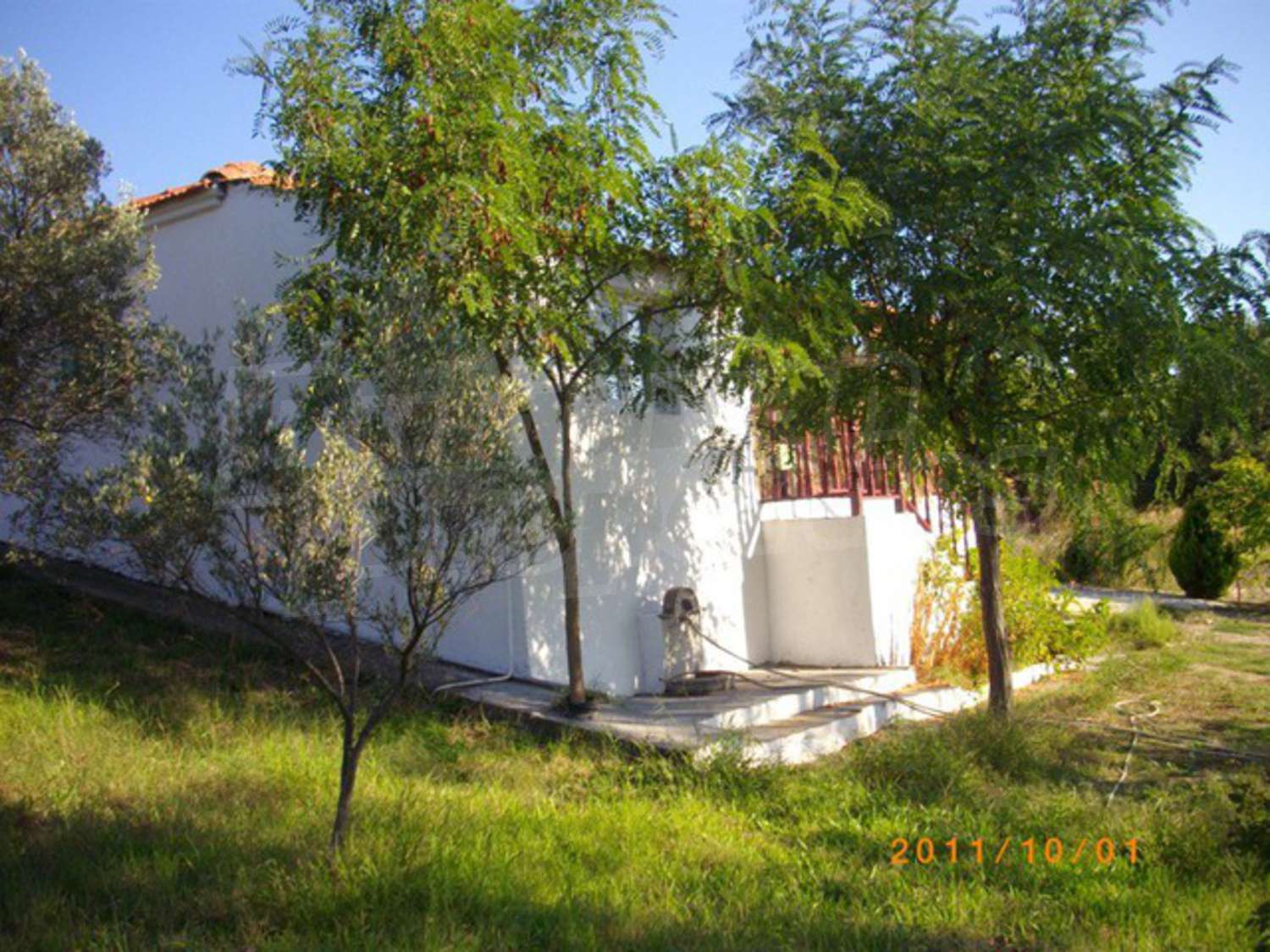 Gallery Picture 5