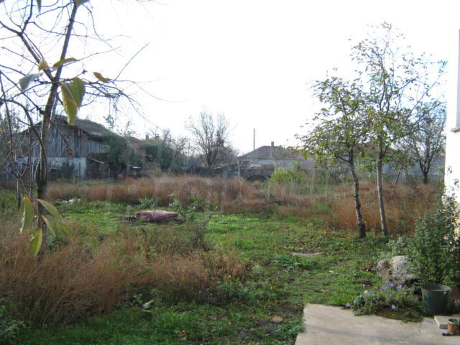 Gallery Picture 11