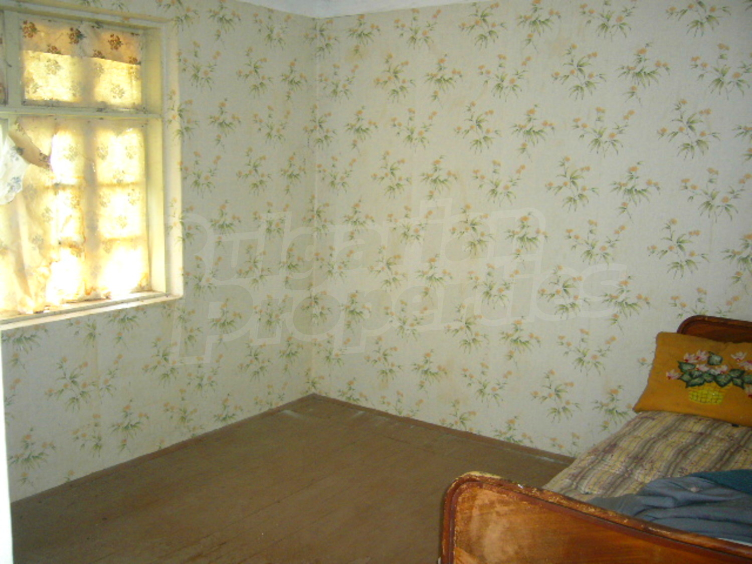 Gallery Picture 11