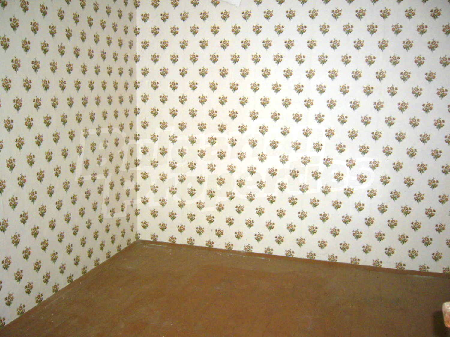 Gallery Picture 12