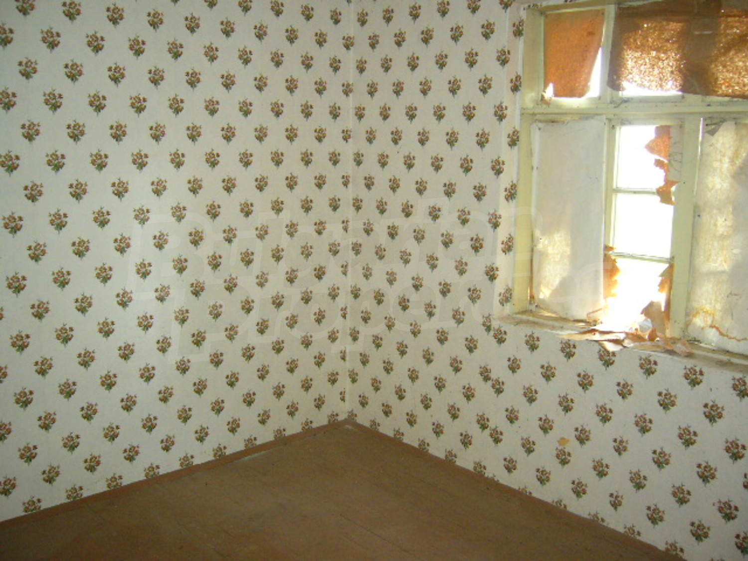 Gallery Picture 13