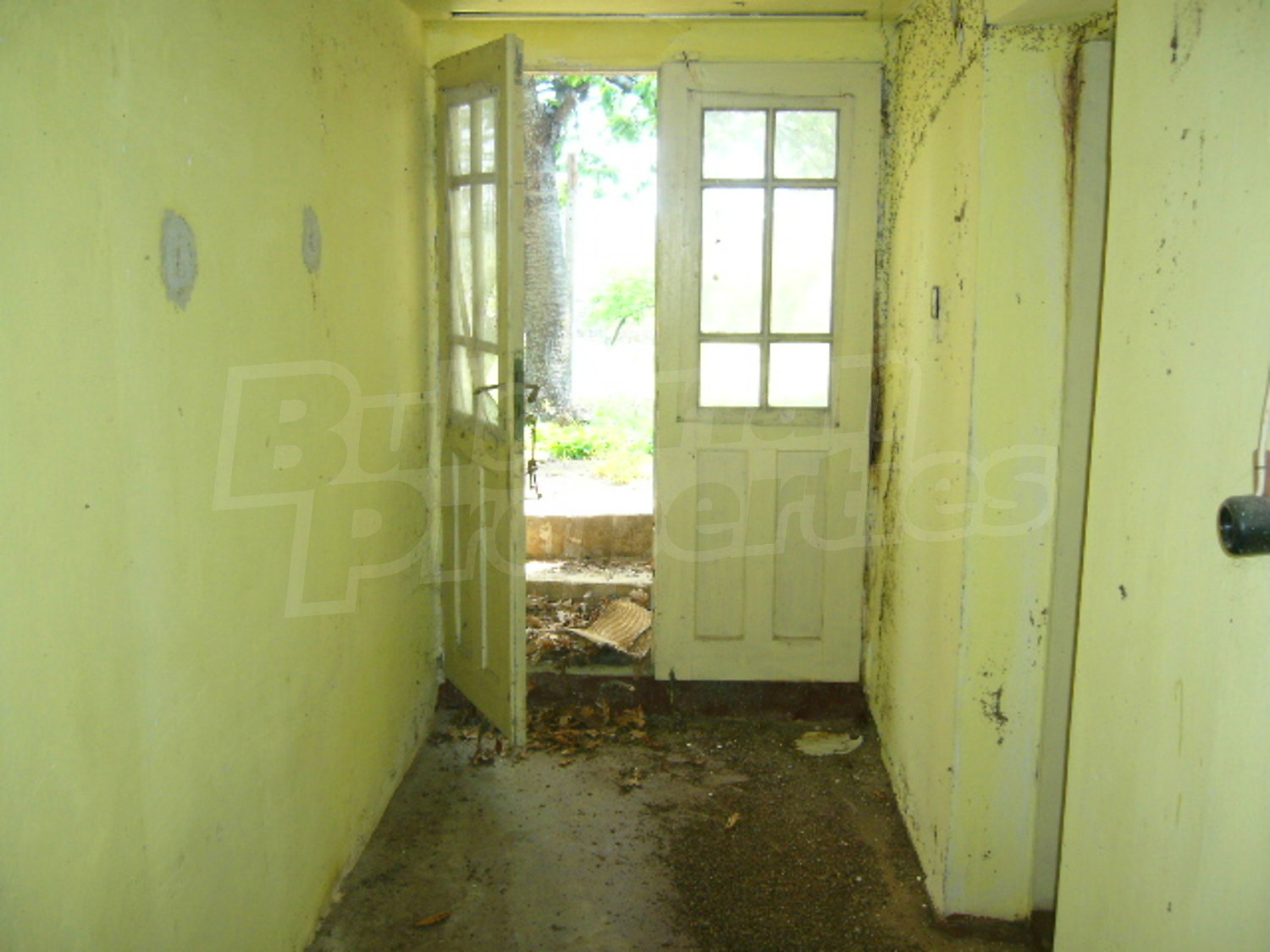 Gallery Picture 15