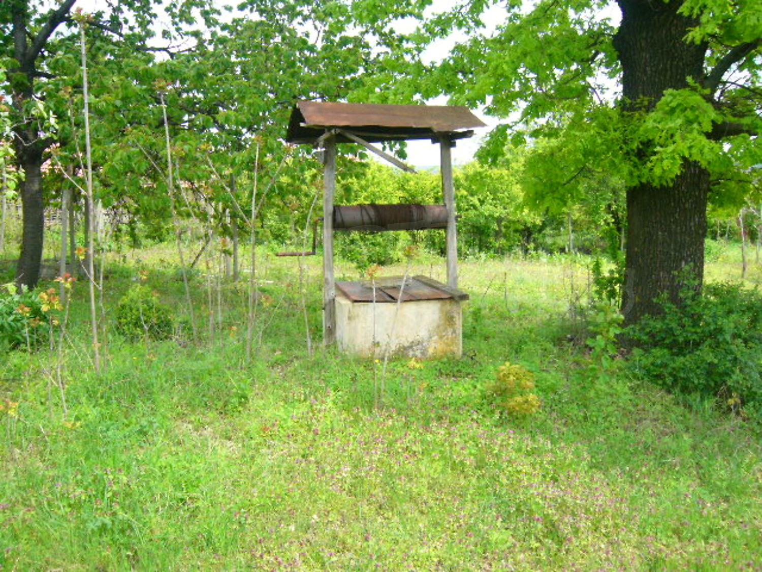 Gallery Picture 16