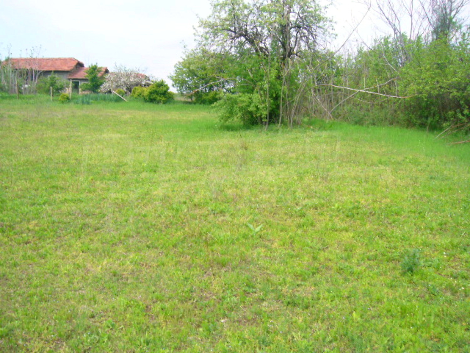 Gallery Picture 18