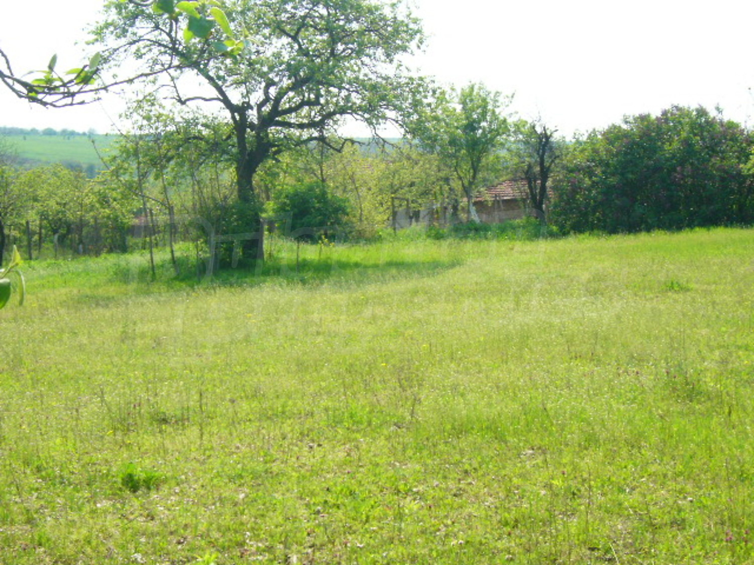 Gallery Picture 20