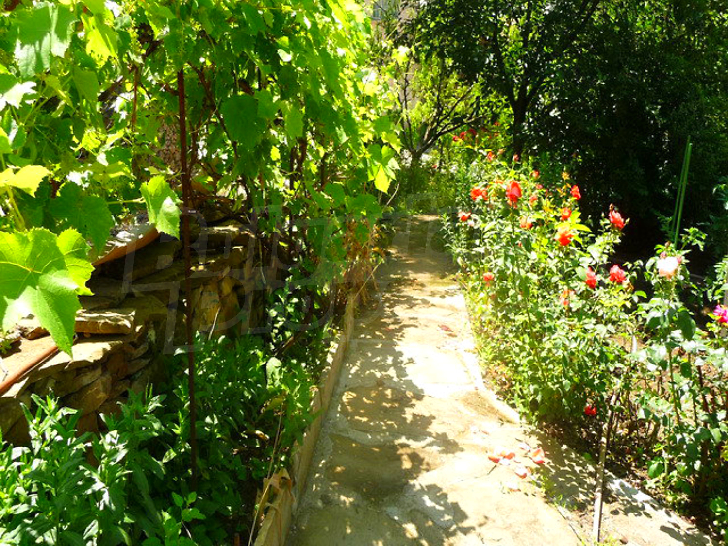 Gallery Picture 17