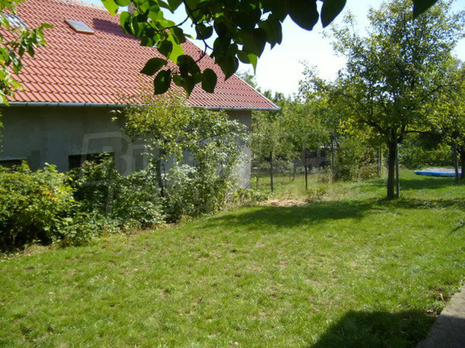 Gallery Picture 14