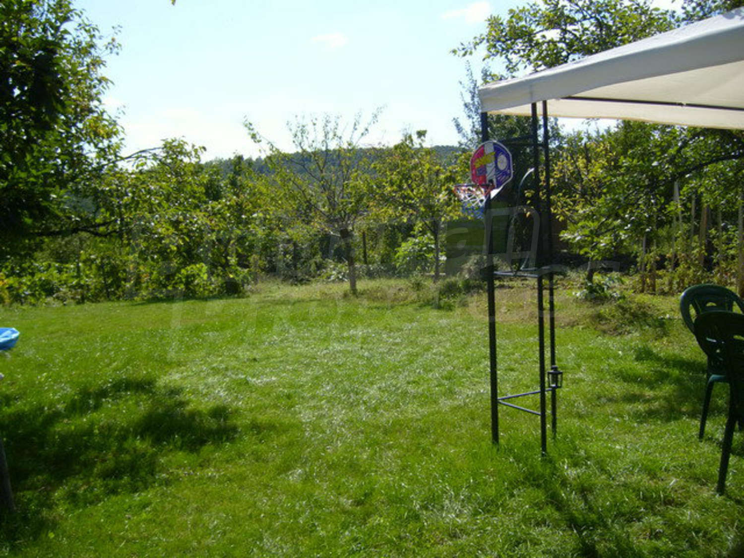 Gallery Picture 21