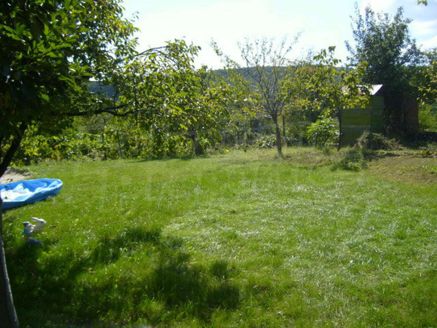 Gallery Picture 22