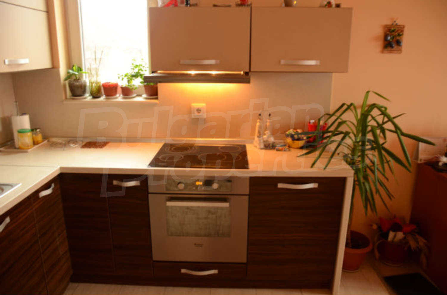 Gallery Picture 10
