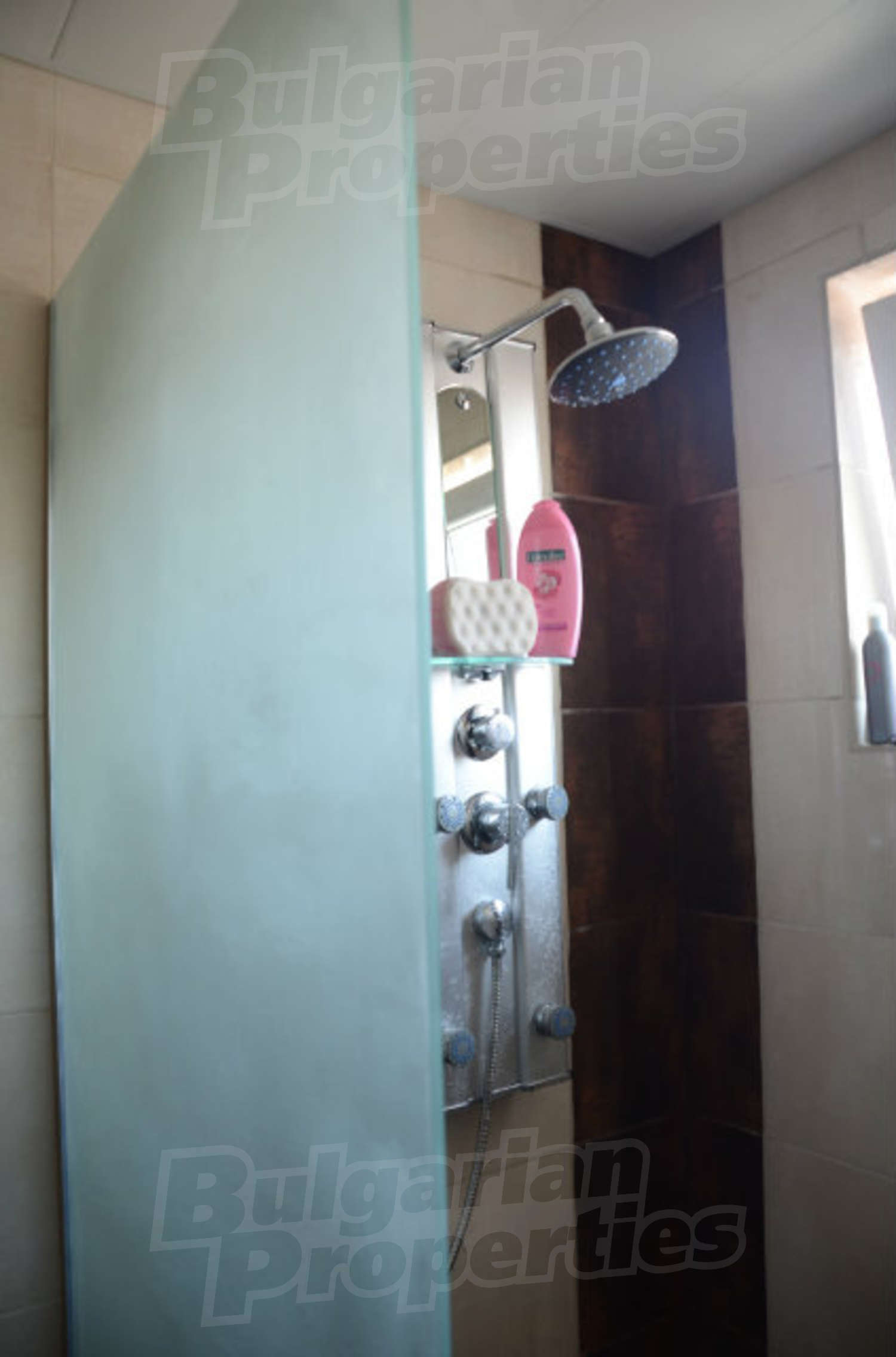 Gallery Picture 29